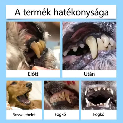 [Hivatalos bolt]CleraNaure® Pet Dental & Digestive Health Oral Liquid – Frissíti a leheletet, eltávolítja a fogkövet, elősegíti az íny regenerálódását, stabilizálja a fogakat (macskák és kutyák számára)  – Ma 80% kedvezmény🎁